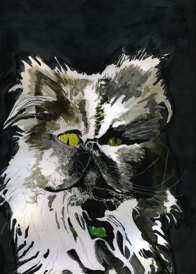 Fancy Cat, by Chris Coffey